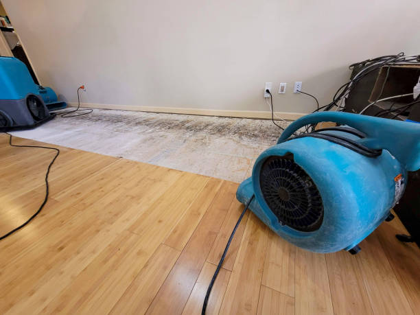 Professional Ceiling Water Damage Repair technician working in Pratts, VA